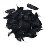 Las Mejores Plumas Negras para Disfraz: Comparativa de Accesorios que Harán Brillar el Juego Imaginativo de tus Niños