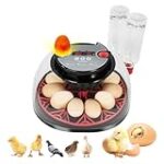 Los Mejores Juguetes de Pollitos: Análisis y Comparativa para Comprar el Ideal para tus Niños Los Mejores Juguetes de Pollitos: Análisis y Comparativa para Comprar el Ideal para tus Niños