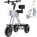 Triciclos Eléctricos Plegables para Adultos: ¿Una Opción de Juego Alternativa para Grandes?